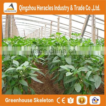 HeraclesThe Cheapest and Best Quality Span Greenhouse Drip Irrigation System