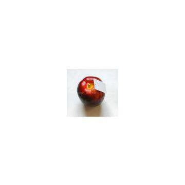 Artificial apple,Artificial fruit