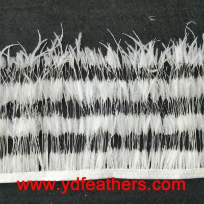 Burnt Ostrich Feather Fringe Sewn on Ribbon From China