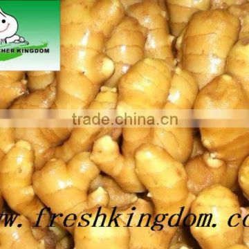 Supplying various size of high quality and low price ginger