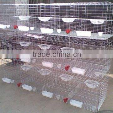 Hot sale cages for Rabbit Cages , chicken cages , bird cages and all accessories