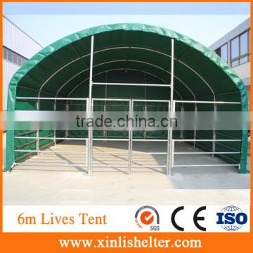 High quality pvc material galvanized steel pipe livestock shelter