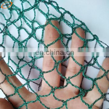 Plastic Anti Bird/Hail/Insect Plants Protection Net for Agriculture