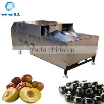 fruit pitter machine|olive pitter| fruit stoning machine