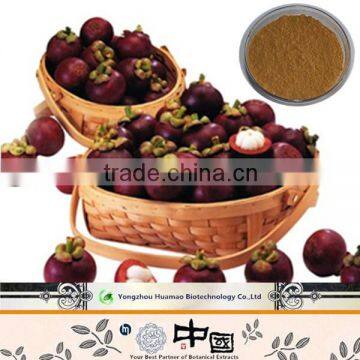 Lot stock free sample natural organic Mangosteen Extract Mangostine