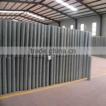 Professional Best Quality Welded wire mesh (elector or hot dipped galvanized)