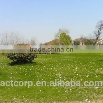 auben Landschaftsbau Kunstrasen Made In China ACTLS-0050