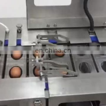 Egg yolk and white separator / Egg cracking machine / Egg separator machine