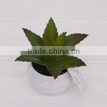 Best selling high simulation mini artificial succulent plants tropical plants series