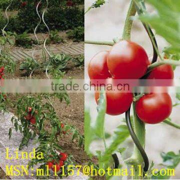 Low Price Tomato Sprial Stakes