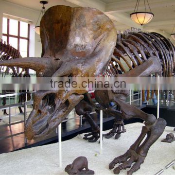 Museum Exhibition Life Size Simulation Dinosaur Skeleton Fossils