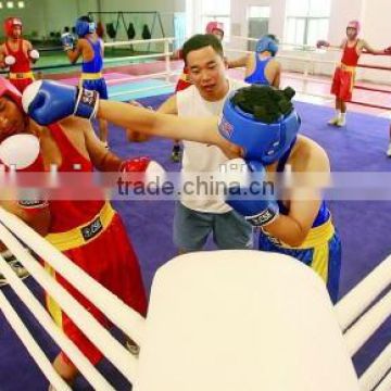 Sports Equipment international ring boxing