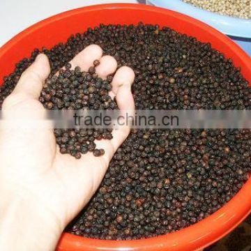 Non-GMO Black Pepper/ White Pepper Corns (Mobile: +84965152844)