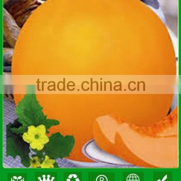 NSM22 Laoyin Chinse sweet melon seeds factory, seeds for planting