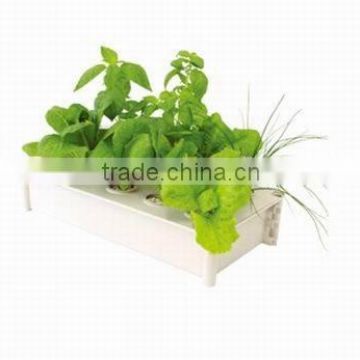 Indoor Hydroponics Growing Systems