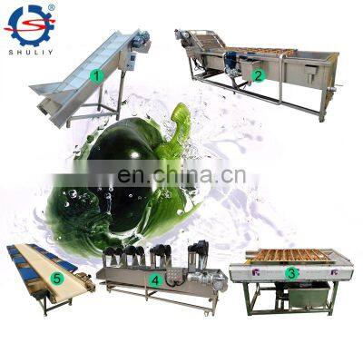 Industrial Fresh Vegetable Lettuce Pepper Washing Production Line Fruits Apple Strawberry Cleaning Drying Processing Line