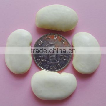 Factory Supplying China Origin 45,55pcs Giant White Beans