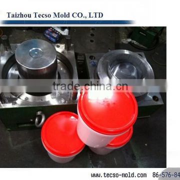 Injection paint bucket mould