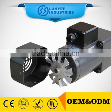 High Power Double Drive Shaft Low Speed Motor