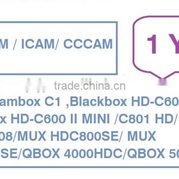 Sell yearly renewal subscription for Streambox C1,Blackbox c600/HD-C600 II Mini/C801/C608 Plus/C808/MUX HDC800SE/HDC900SE/Qbox
