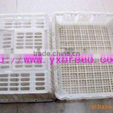 Plastic boxes for chicken