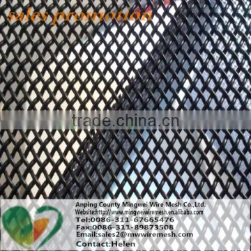 mosquito nets for windows and stainless steel wire mesh with high quality