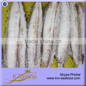 Zhejiang Seafood Manufacturer Wholesale Frozen Bonito Loin