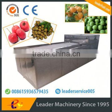 Leader automatic fruit processing machine with website:leaderservice005