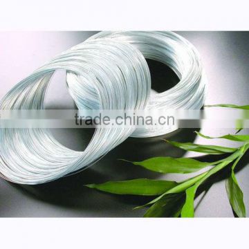 China electro galvanized iron wire/gi wire