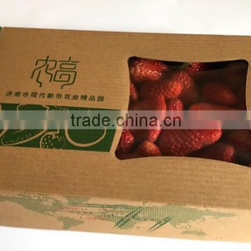 Recycle feature factory direct sale small kraft brown paper mailer box