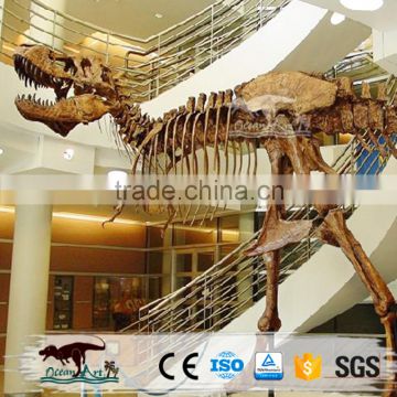 Hot sale realistic resin dinosaur skeleton model                        
                                                Quality Choice