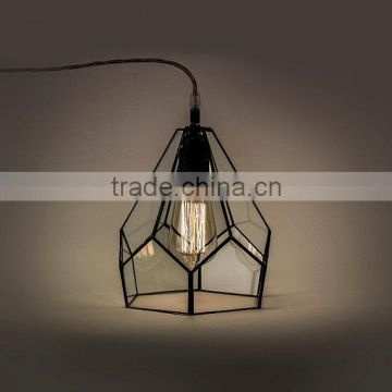 Edison bulb Clear simple lamp glass terrarium