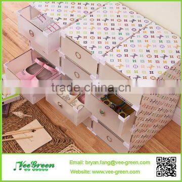 Beautiful Women's Clear Plastic Shoe Drawer