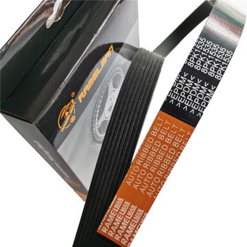 Transmission belt ramelman brand generator belt6PK1005/55193366 fan belt pk belt poly v belt for Peugeot Benz Citroen Fiat BMW