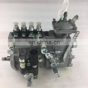 Fuel Injection Pump BHF4PL090 F3100-1111100B-172 4PL242A 1727D1000104