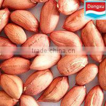 china peanut kernels