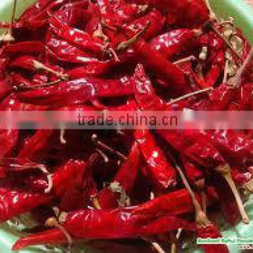 Teja Sannam red chilli