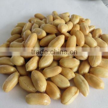 2016 Delicious Fried Canned salty roasted peanut with best price