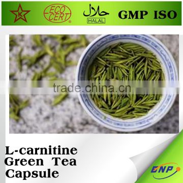 amaigrissantes l-carnitine slimming green tea capsule
