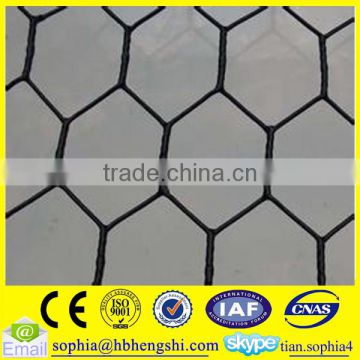 hot sale! manufacture pvc coated hexagonal chicken wire mesh