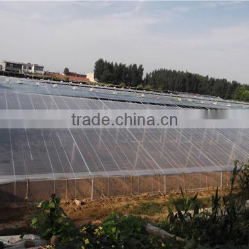 New arrival hot sale transparency greenhouse film