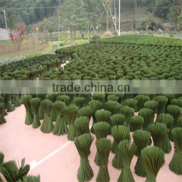 bamboo products 2015 high quality green bamboo stick for art