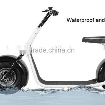 2017 newest citycoco 2 wheel off road electric bike ,two wheel self balance electirc scooter