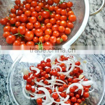 Best Selling PICKLED CHERRY TOMATOES