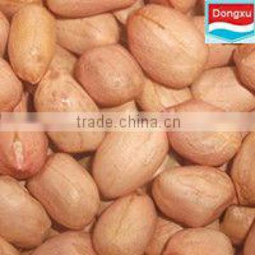 chinese high quality peanut 40/50
