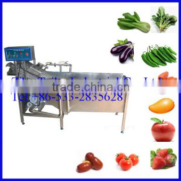 Industrial Automatic Carrot Brush Washer Machine