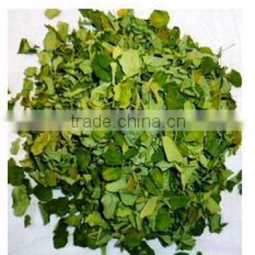 High Quality Cheap Natural Dried Moringa Leaves