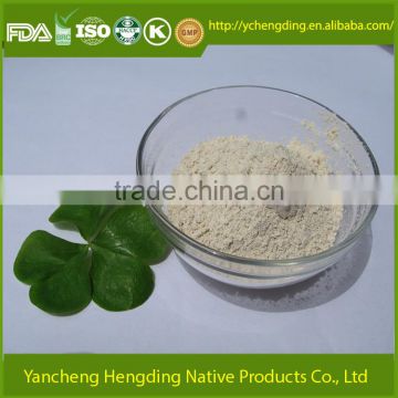 Quality products bulk garlic powder buy wholesale from china