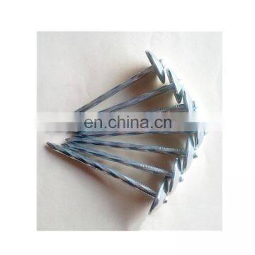 China Good Quality Hot Dipped Electro Galvanized Bwg9-bwg12 Corrugated Roofing Nails