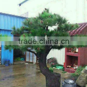 new style Hot sale artificial pine tree made in china,artificial bonsai tree on sale
